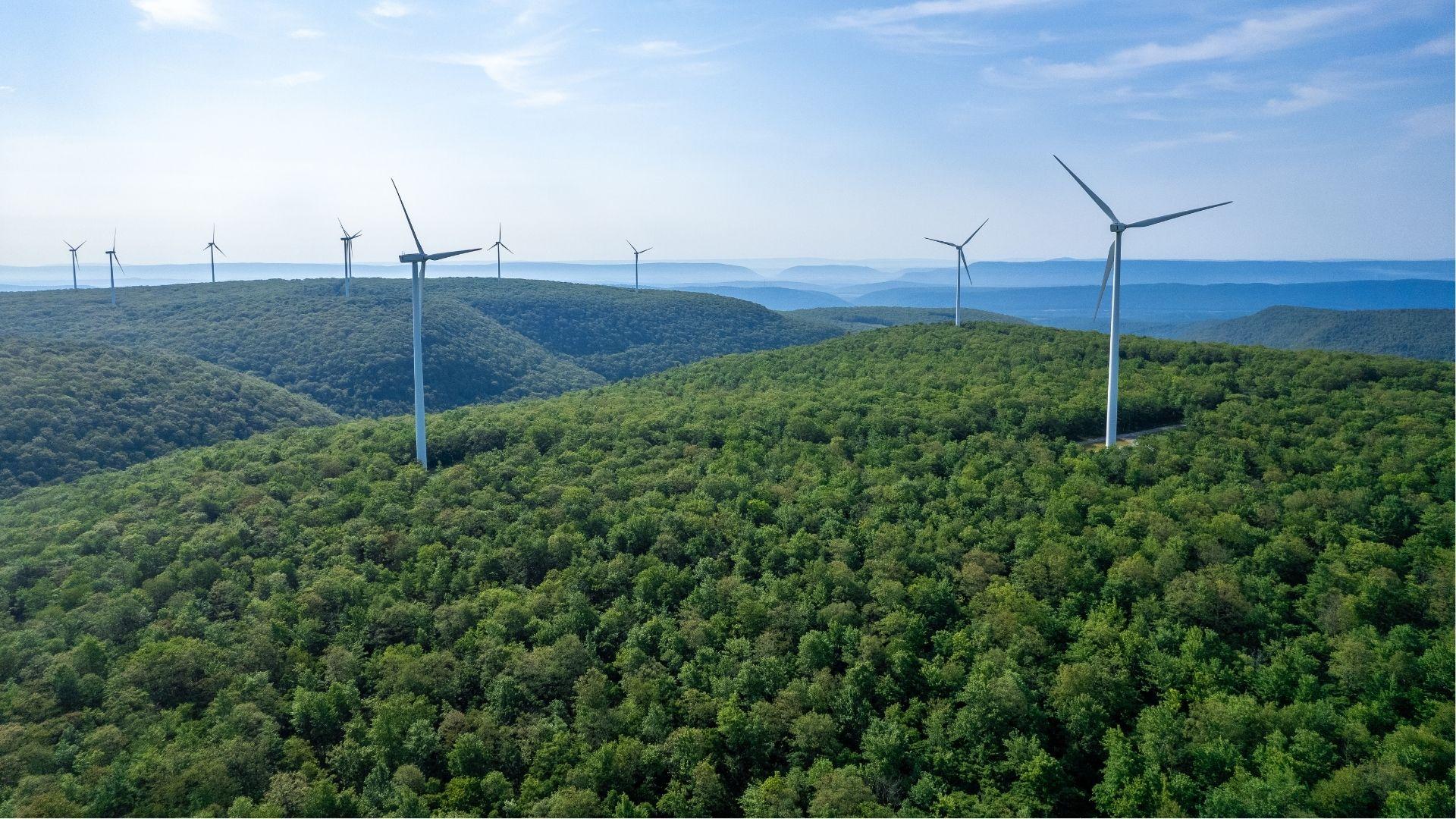 Wind farm in the middle of a wood