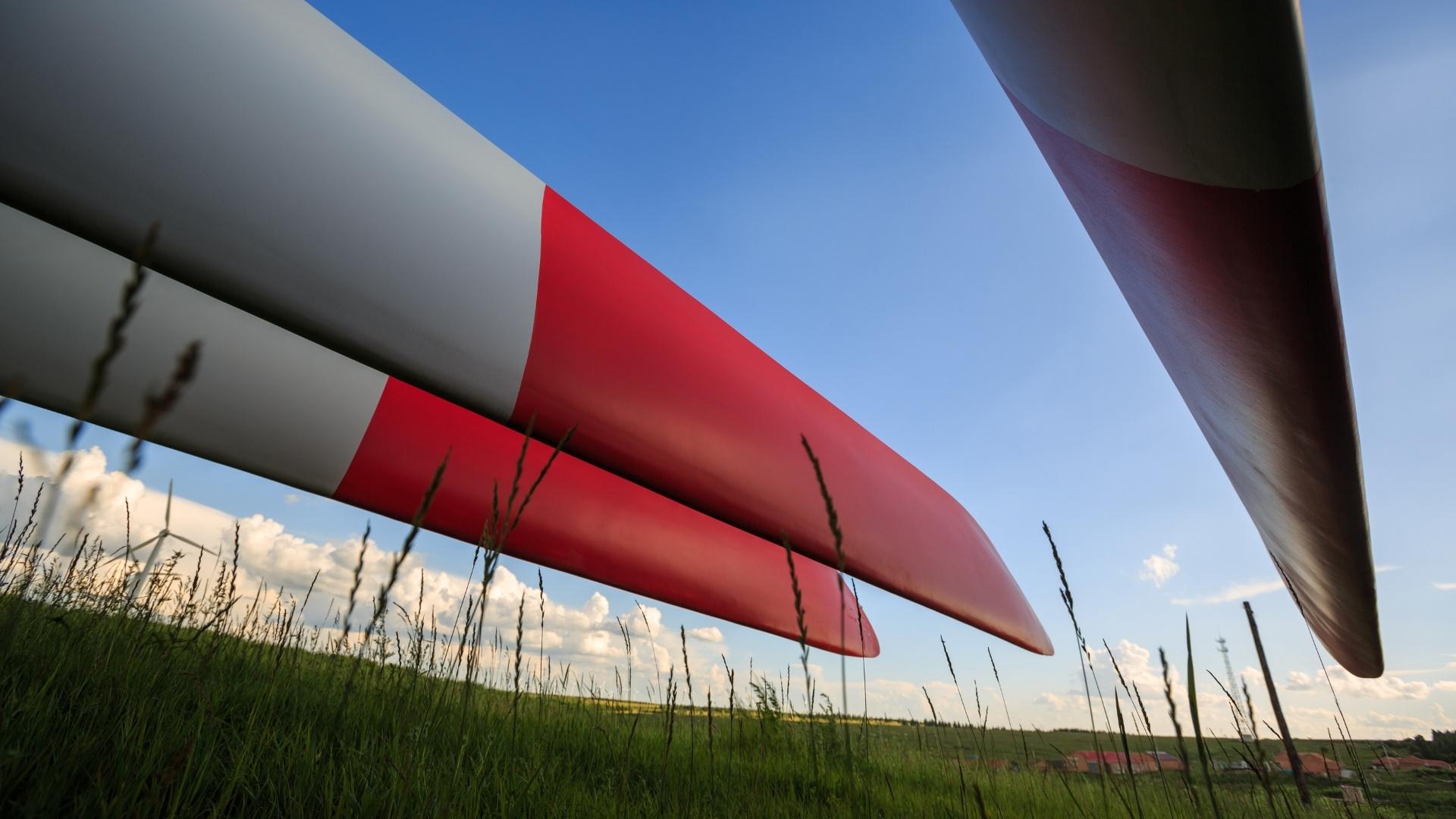 Rotor blades in a meadow