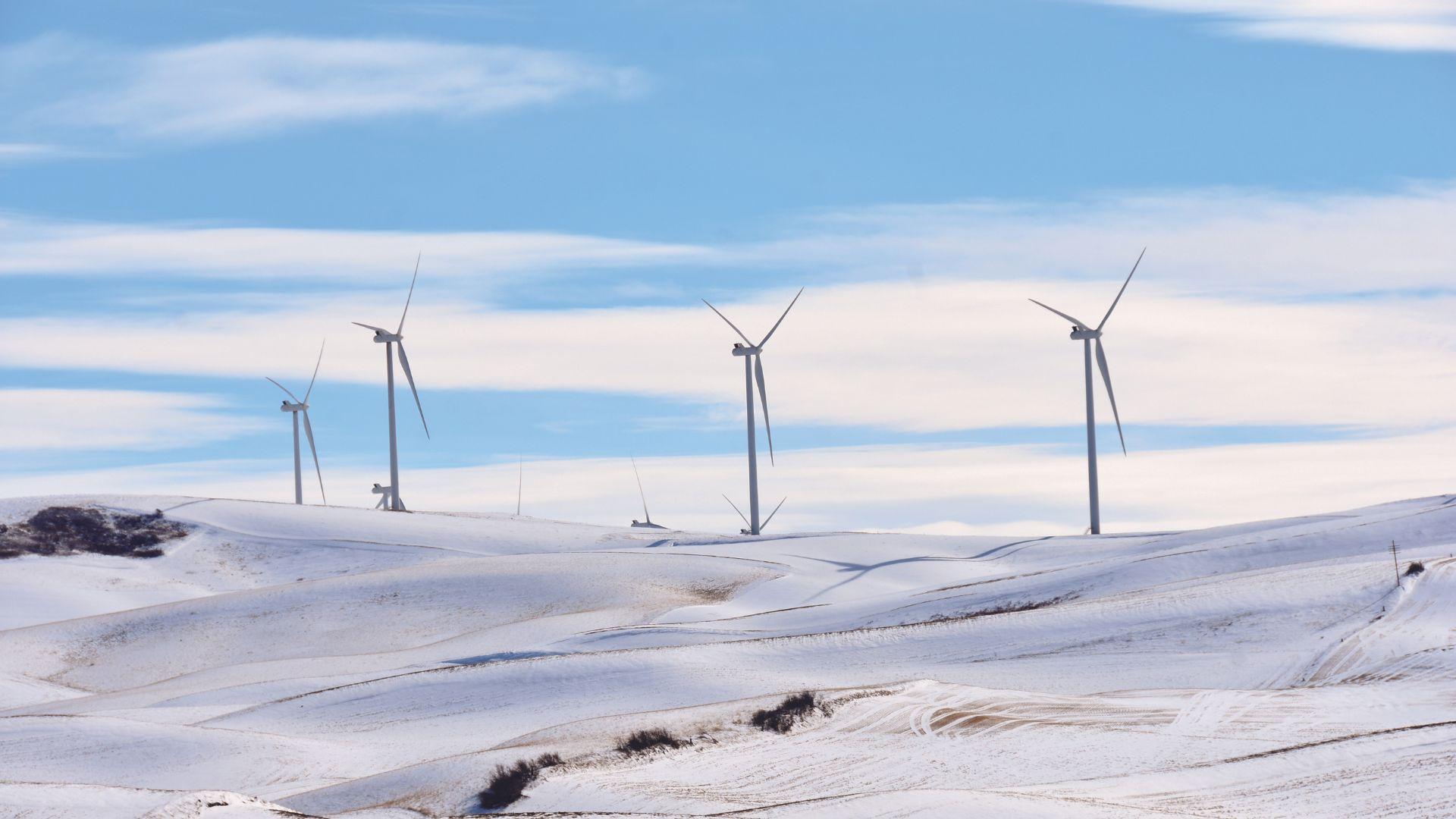 Winter in a wind park.