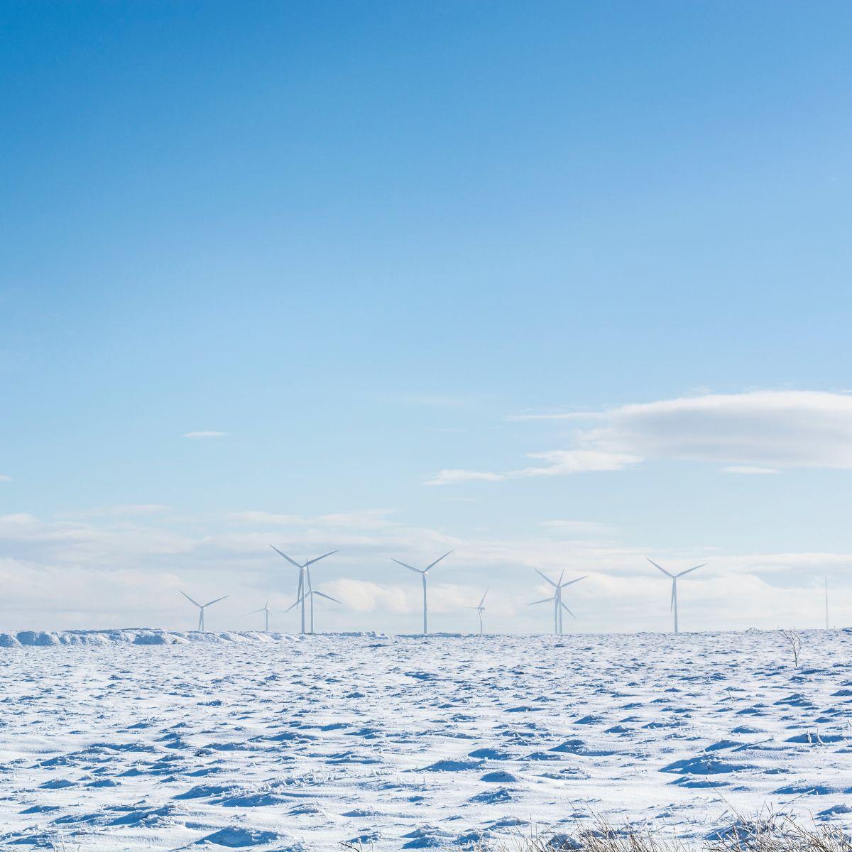 A wind farm in winter with blue sky