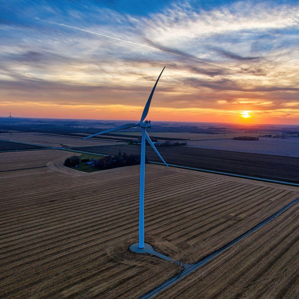 Detecting blade damage with :SURFACE HEALTH. Copyright: Tom Fisk/Pexels