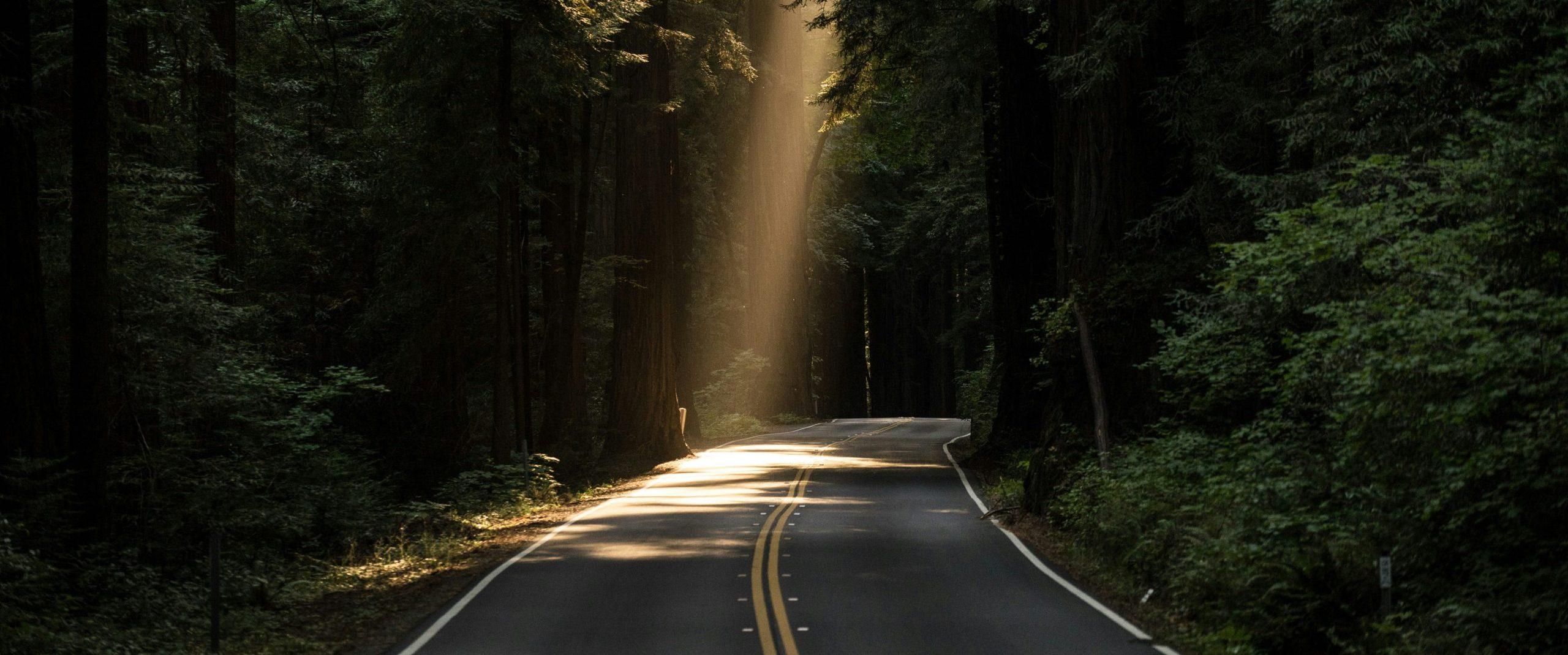 Road green