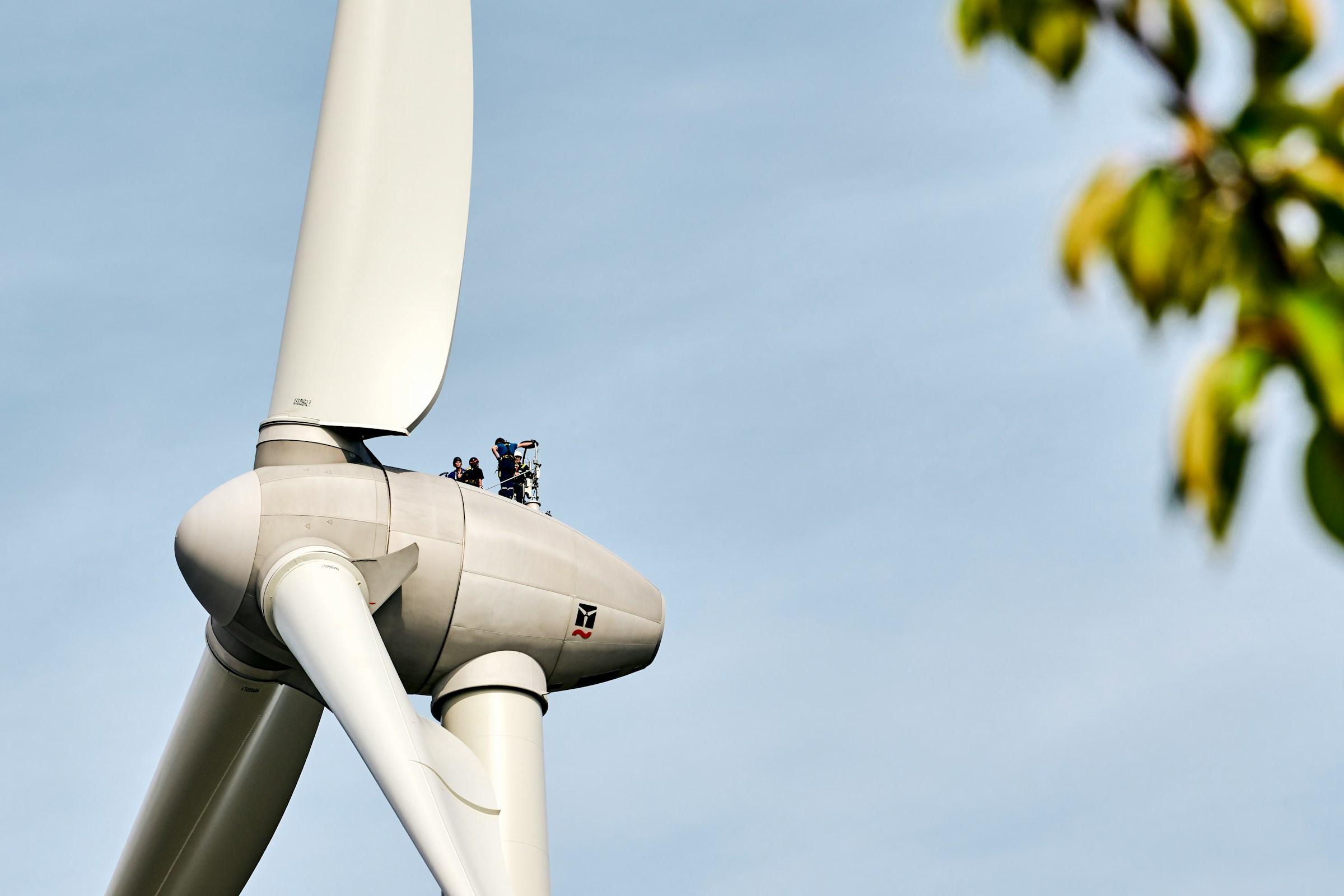A wind farm on open meadow land on a clear day